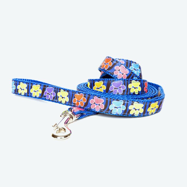 Blue dog leash