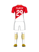 Elite Soccer Team Kit