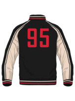 Premium Custom Varsity Jacket