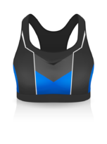 Premium High Support Sports Bra