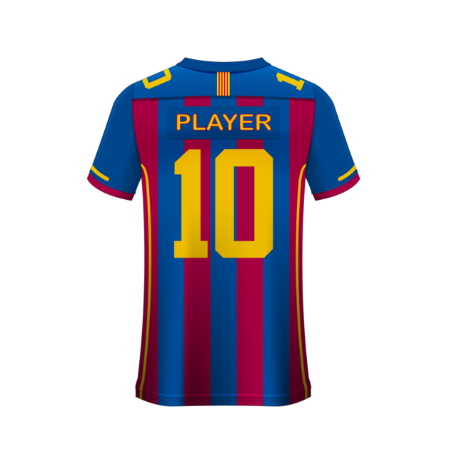 Premium Team Game Jersey