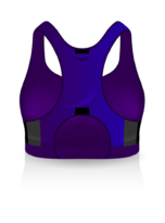 Compression Fitness Sports Bra