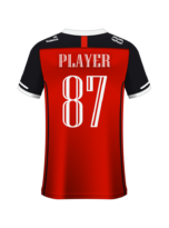 Lightweight Training Game Jersey