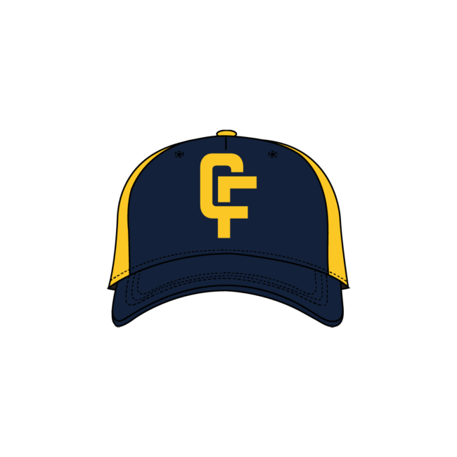 Premium Pro Baseball Cap