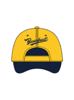 Premium Pro Baseball Cap