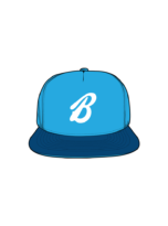 Professional Baseball Team Cap
