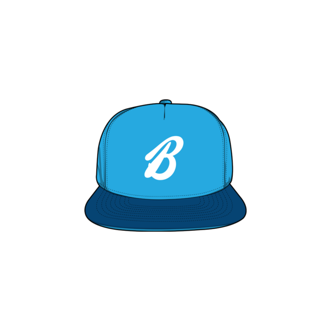 Professional Baseball Team Cap