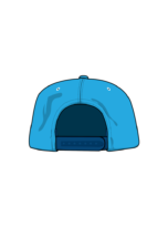 Professional Baseball Team Cap