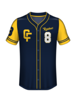 Professional Baseball Game Jersey