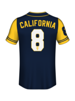 Professional Baseball Game Jersey